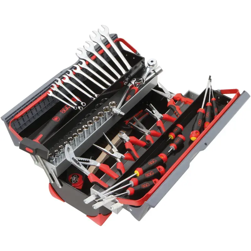 Caisse A Outils Bi-Matiere 5 Cases - Composition 50 Outils SAM Outillage - CP-50BO Jusqu'à Épuisement Des Stocks