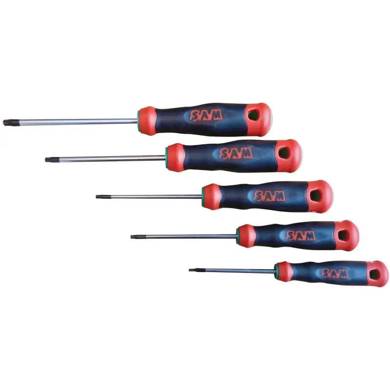 Tournevis Bi-Matiere Resistorx - Jeu De 5 SAM Outillage - T-RJ5 Offre Du Jour