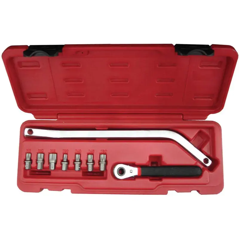 Usine Directe Poignee Longue Et Embouts Torx 30-40-45-50 Et Xzn 8-10-12 SAM Outillage – 99-PA20