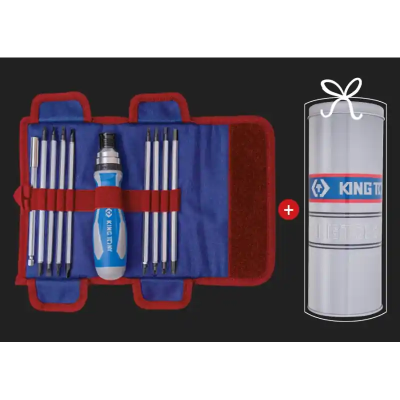 Bon Plan Trousse De Tournevis À Lames Interchangeables 16 Pièces King Tony - P32526MRN