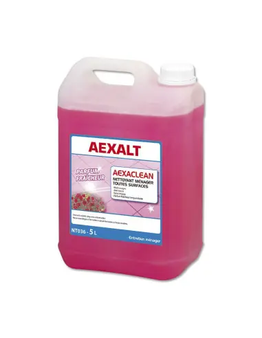 Marque Nettoyant universel concentré AEXACLEAN FRAÎCHEUR (5 litres) NT036 – Aexalt Pluho