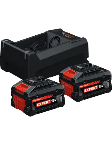 Pack de 2 batteries 18V 5,5Ah EXBA 18V-55 + Chargeur GAL 12V/18V-80 1600A0373P – Bosch Acheter Direct