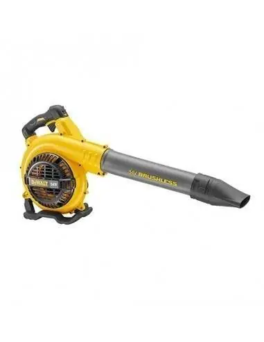 Souffleur XR FLEXVOLT 54V 3Ah Li-Ion Brushless - 1 batterie - DCM572X1 - Dewalt Livraison Express