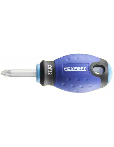 Tournevis boule Pozidriv PZ1X30 E165408 – Expert By Facom Petit Prix