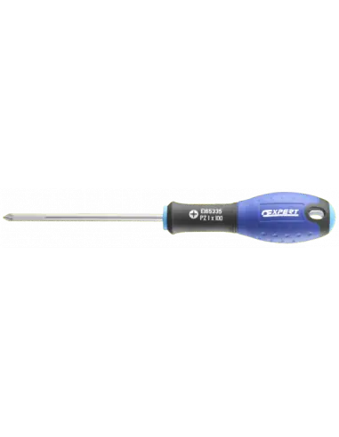 Tournevis Pozidriv PZ1X100 E165335 – Expert By Facom Promotion