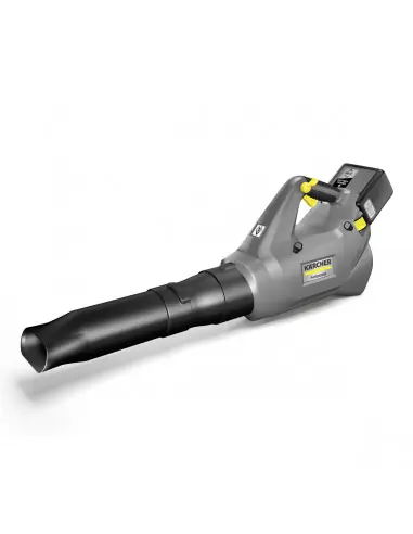 Must-Have Souffleur LB 930/36 Bp Pack 10425080 – Karcher
