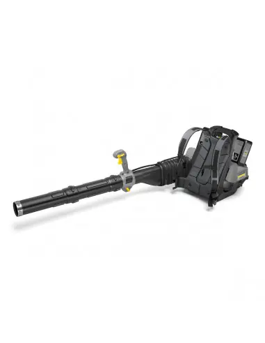 Vente Flash Souffleur LBB 1060/36 Bp Pack 10425100 - Karcher