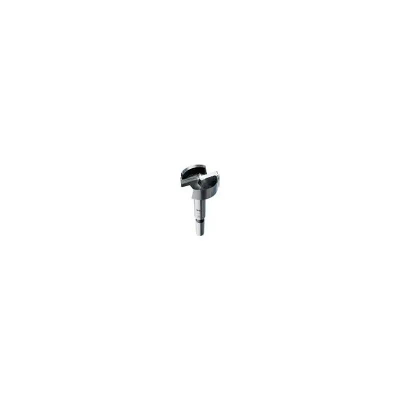 Achetez Aujourd&rsquo;hui Mèche Forstner – FISCH 031602500 – Ø 25 x l 55 x L 80 mm – Q HEX