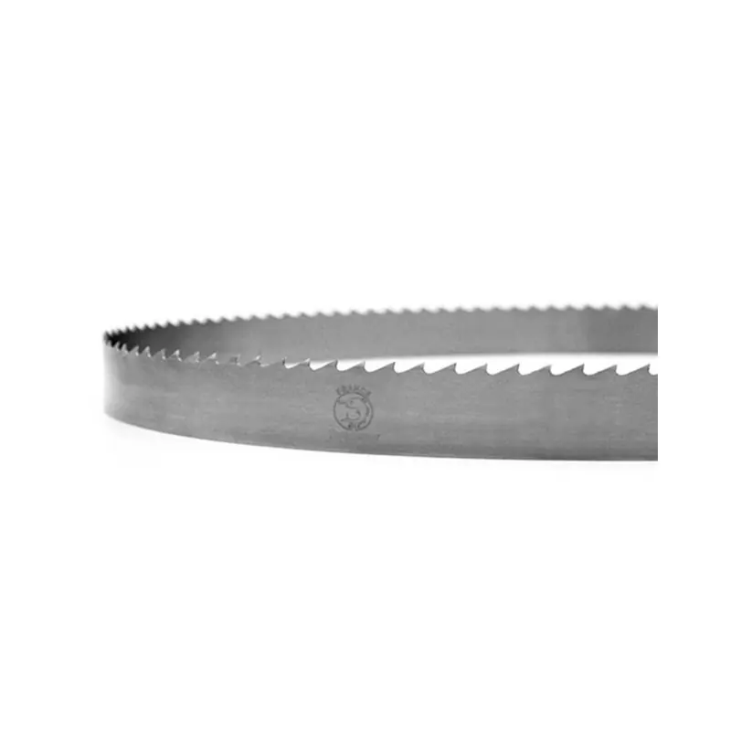 Lame ruban – FOREZIENNE – 4550x15x0,5 mm – pas 10 mm Meilleur Prix