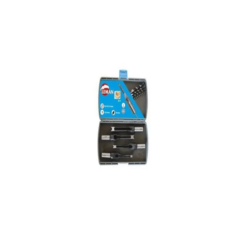 Coffret 4 bédanes carrés – LEMAN 306.500.04 – Q15,9 mm Usine Directe