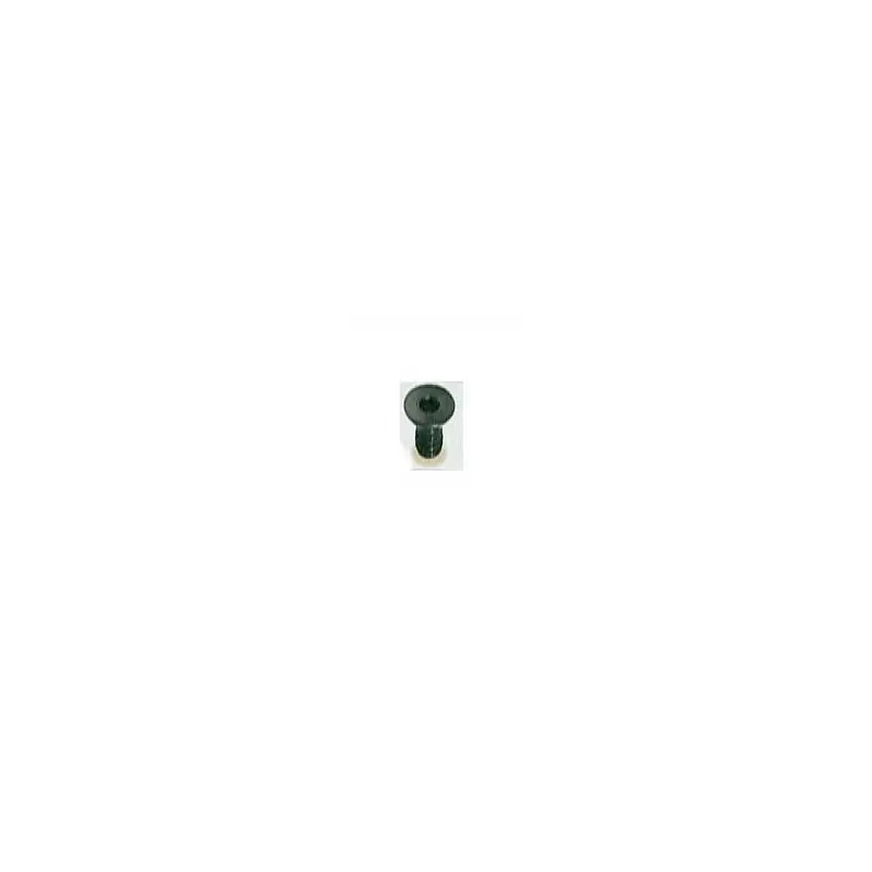 Vis – ELBE VI119505 – pour plaquette W3 – M5x5 mm Vente Flash