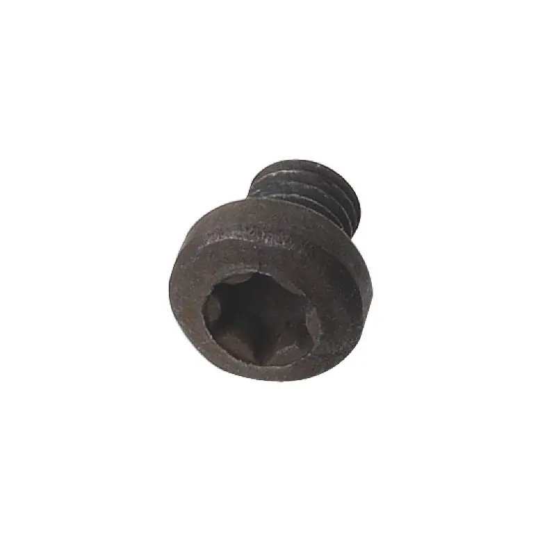 Vis – CMT 99007800 – M4 x 6 mm – Tête Torx T15 bombée Certifié