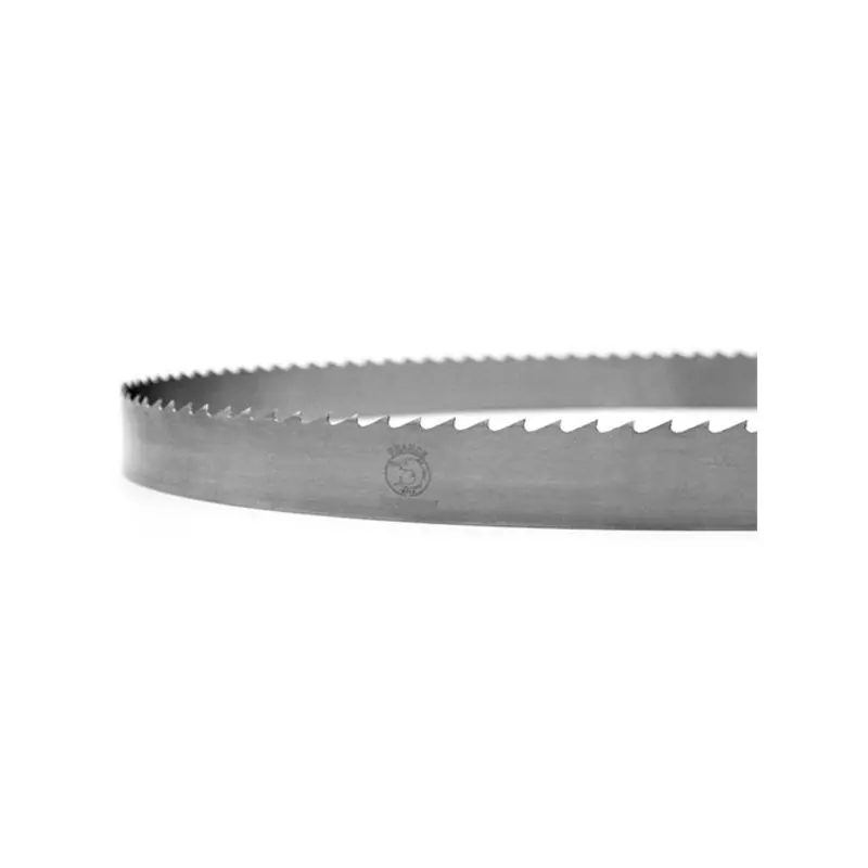 Lame ruban - FOREZIENNE - 4100x30x0,4 mm - pas 10 mm Jusqu'à Épuisement Des Stocks