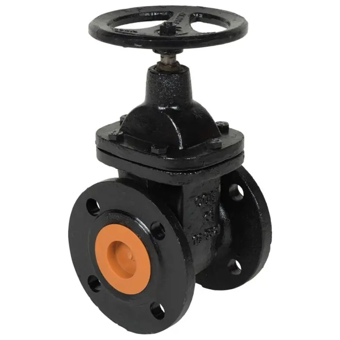 Vanne de verrouillage pour SANIPUMP, SANISUB ZPG ZFS VX et SANICUBIC GR - DN 50 en fonte - SFA Dernière Chance