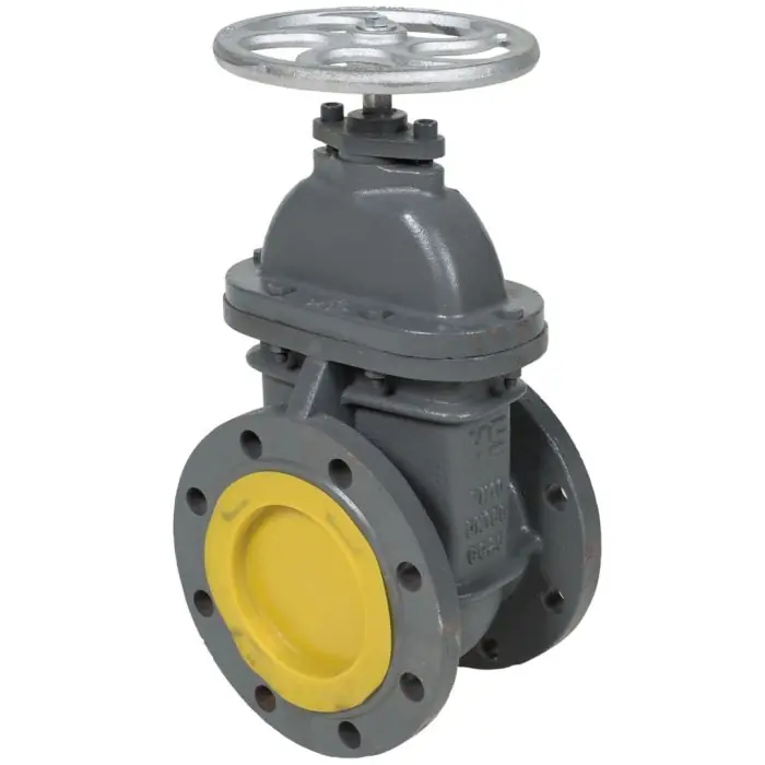 Meilleur Prix Vanne de verrouillage pour SANICUBIC GR SC - DN 150 en fonte - SFA