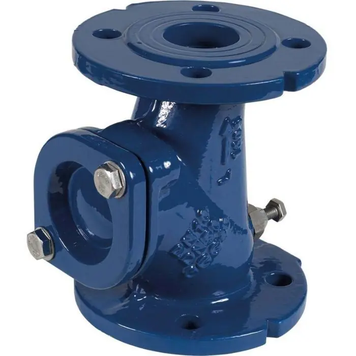 Clapet anti-retour DN 80 fonte pour SANIPUMP VX80 – Sfa Usine Directe
