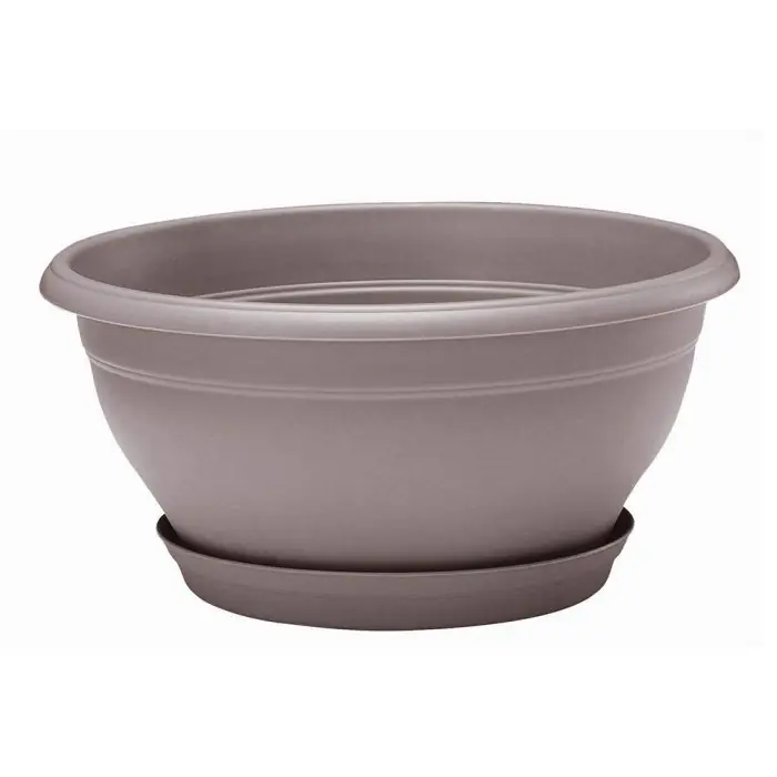 Achat Immédiat Coupe LOTUS Taupe avec soucoupe clipsée, 25 x 12,6 cm, 3L – EDA