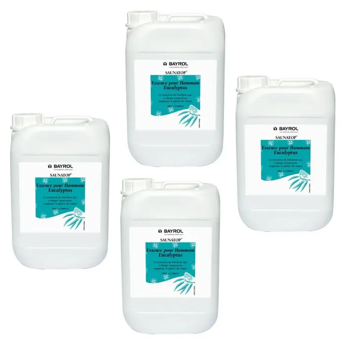 Lot de 4 bidons Saunatop Eucalyptus – Essences aromatiques Bidon de 6L pour hammams – Bayrol Soldes