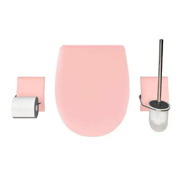 Set accessoire WC Ariane Coquillage Mat – descente assistée – déclipsable – Olfa Acheter Direct