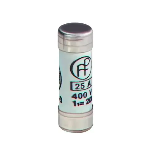 Remise Fusibles 32A sans voyant NF (x10)