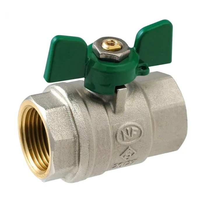 Vanne à sphère Passage Intégral NF PN25 ACS Papillon Vert F/F 1" (26/34) SOMATHERM Authentique