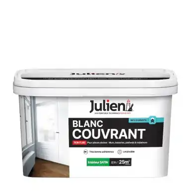 JULIENPeinture murs et plafonds Seulement Aujourd'hui