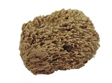 Solde ROULOR