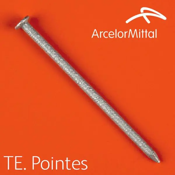 Pointe tête plate Ø3x70mm galva boite 5Kg Achetez Aujourd'hui