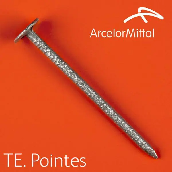 Pointe tête large Ø3x35mm galva boite 5Kg Expédié Aujourd'hui