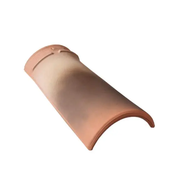 FAITIERE ARETIER CONIQUE 40 SILVACANE LITTORAL Réf 10036405 Nouveauté
