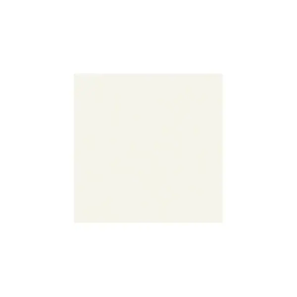 Panneau particules mélaminés blanc inter U511 PE 19x2800x2070mm Bon Plan