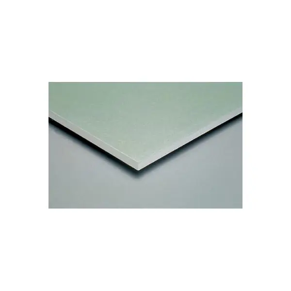 Seulement Aujourd'hui Plaque plâtre PLACOMARINE hydro BA 18mm 250x120cm