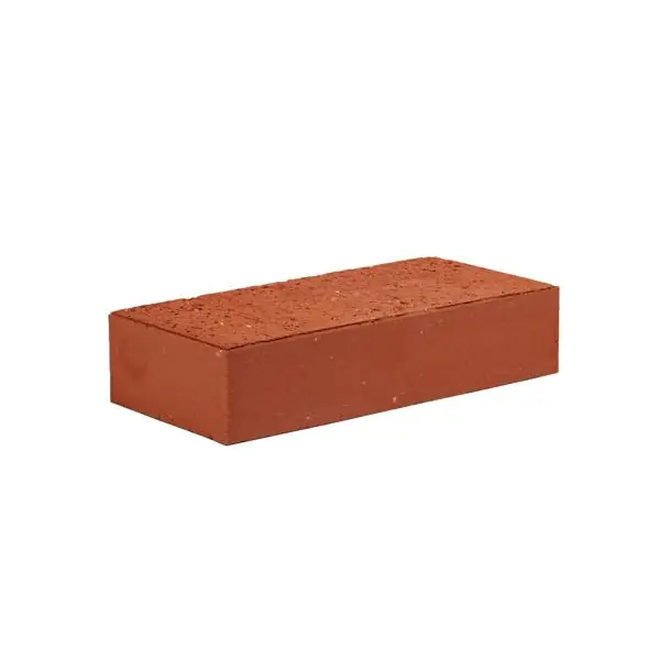 Brique pleine lisse RIEUSSEQUEL rouge 22×10,5cm Ep.5cm Meilleur Prix
