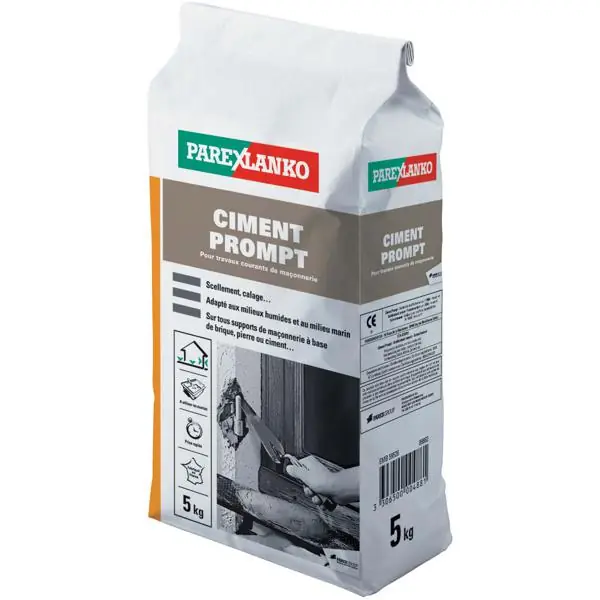 Ciment PROMPT naturel sac 5kg Expédition Rapide
