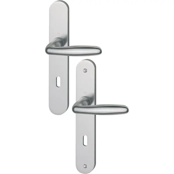 POIGNEE DE PORTE sur plaque VERONA alu aspect inox 195mm clé L Réduction