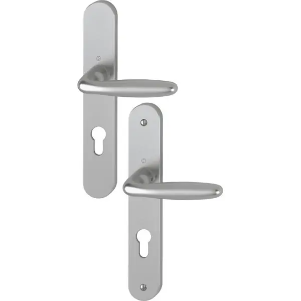Meilleur Choix POIGNEE DE PORTE sur plaque VERONA alu aspect inox 195mm clé I