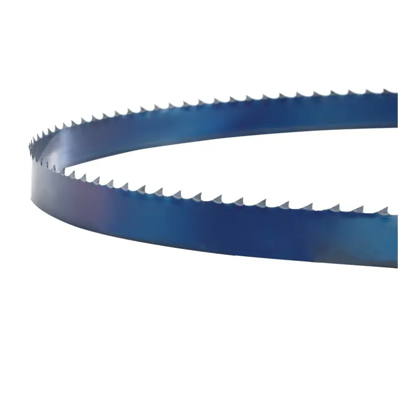 Lame de scie pour HBS 351 2562 x 10 x 0.5 mm Holzkraft Usine Directe