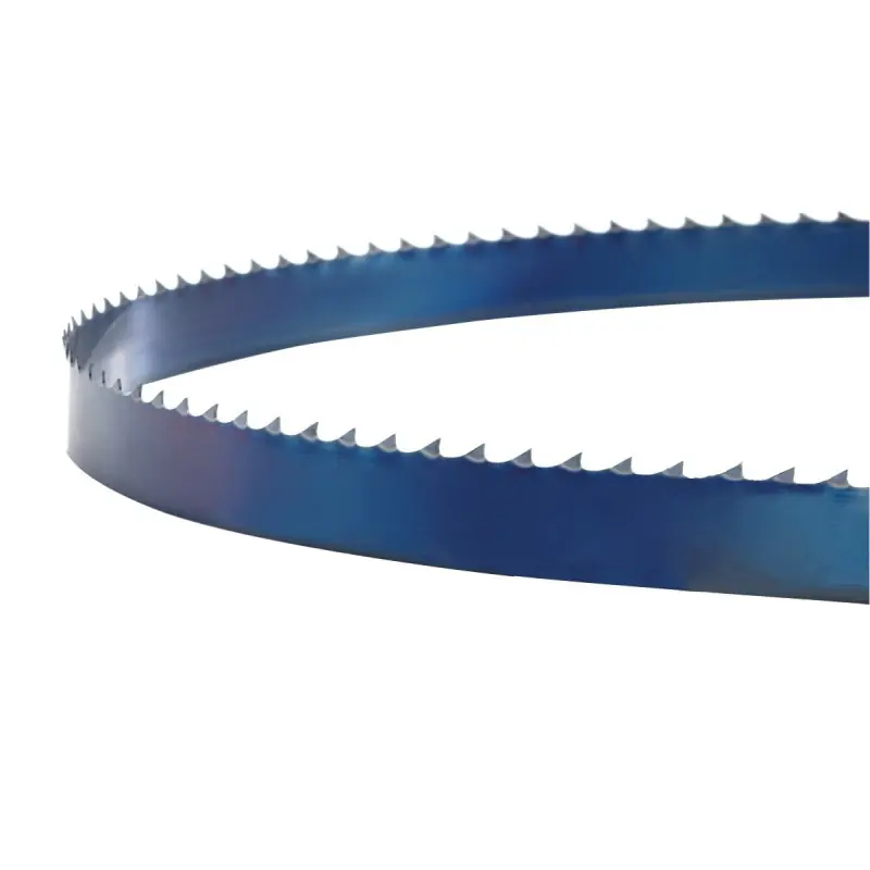 Lame de scie 4 dents au pouce 3455 x 16 x 0.5 mm Holzkraft Jusqu&rsquo;à Épuisement Des Stocks